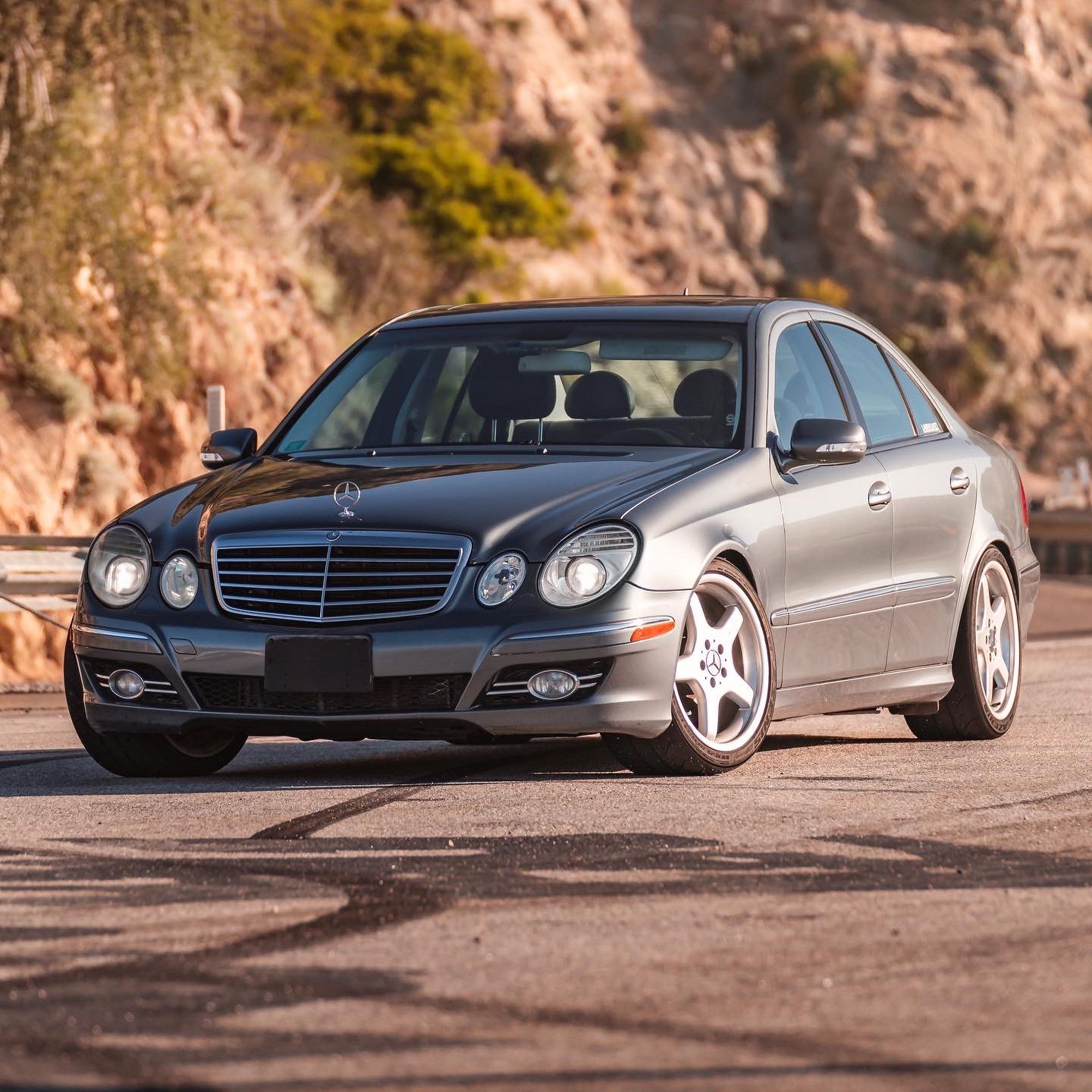 Profile of Daniel Vaystukh