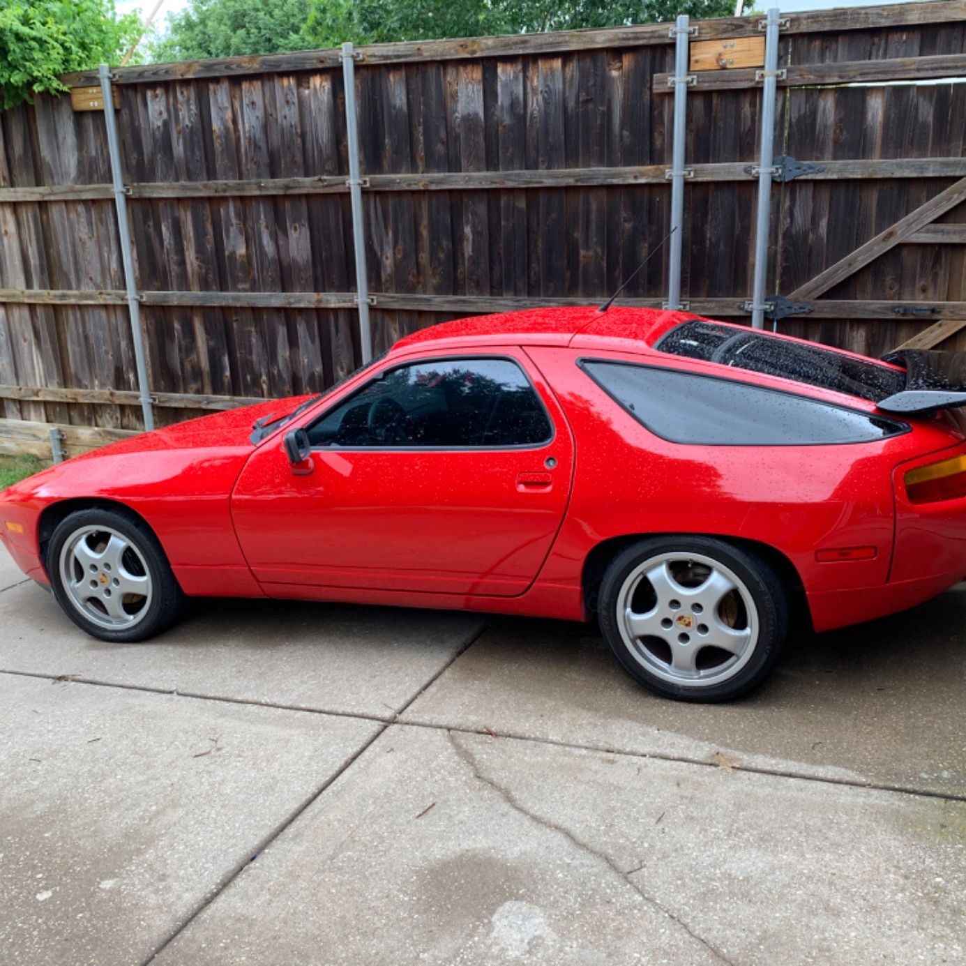 Profile of Patrick Roth