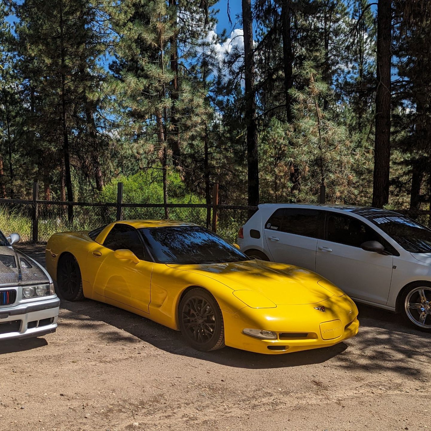 Profile of Treyden Masillo