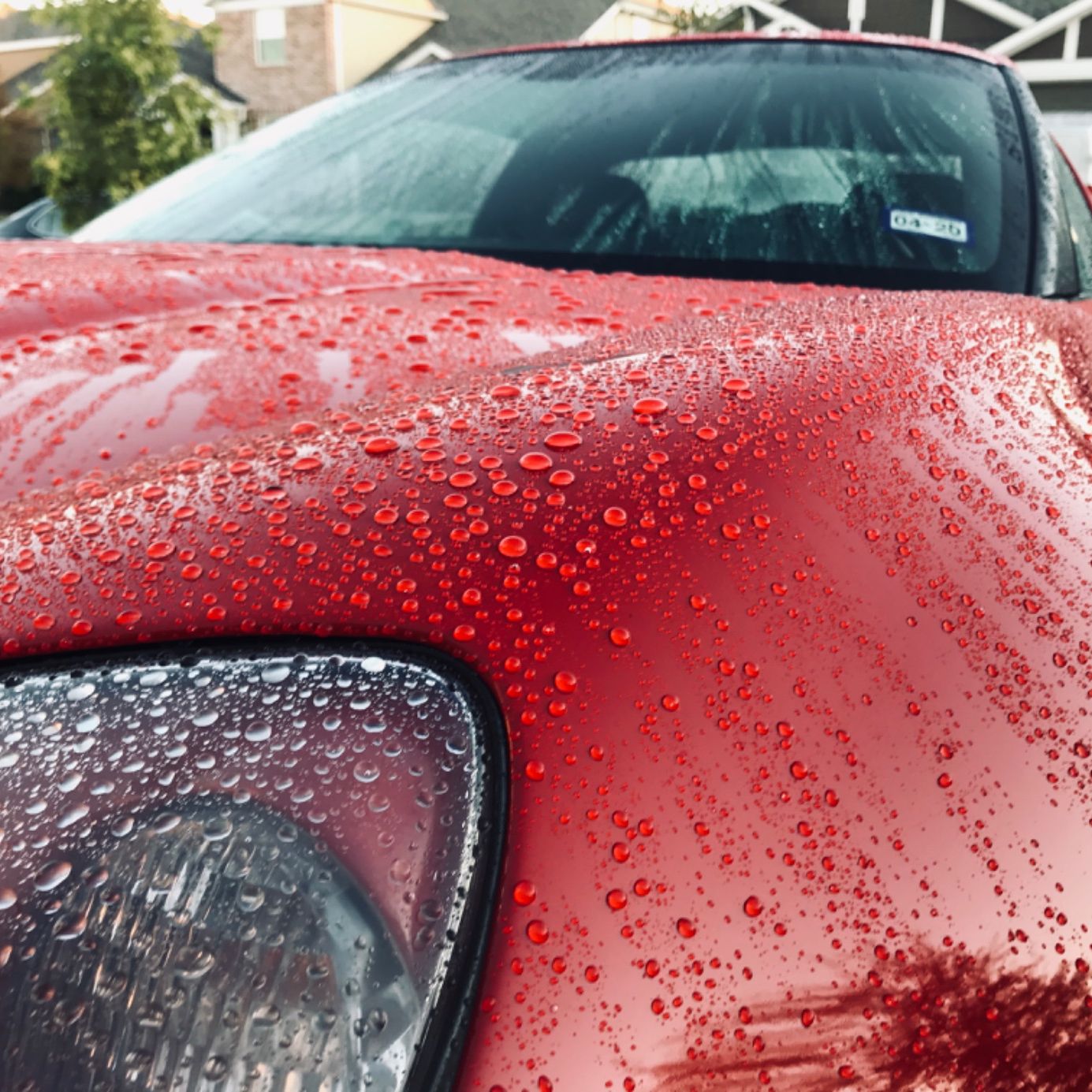 Profile of Keith Rose