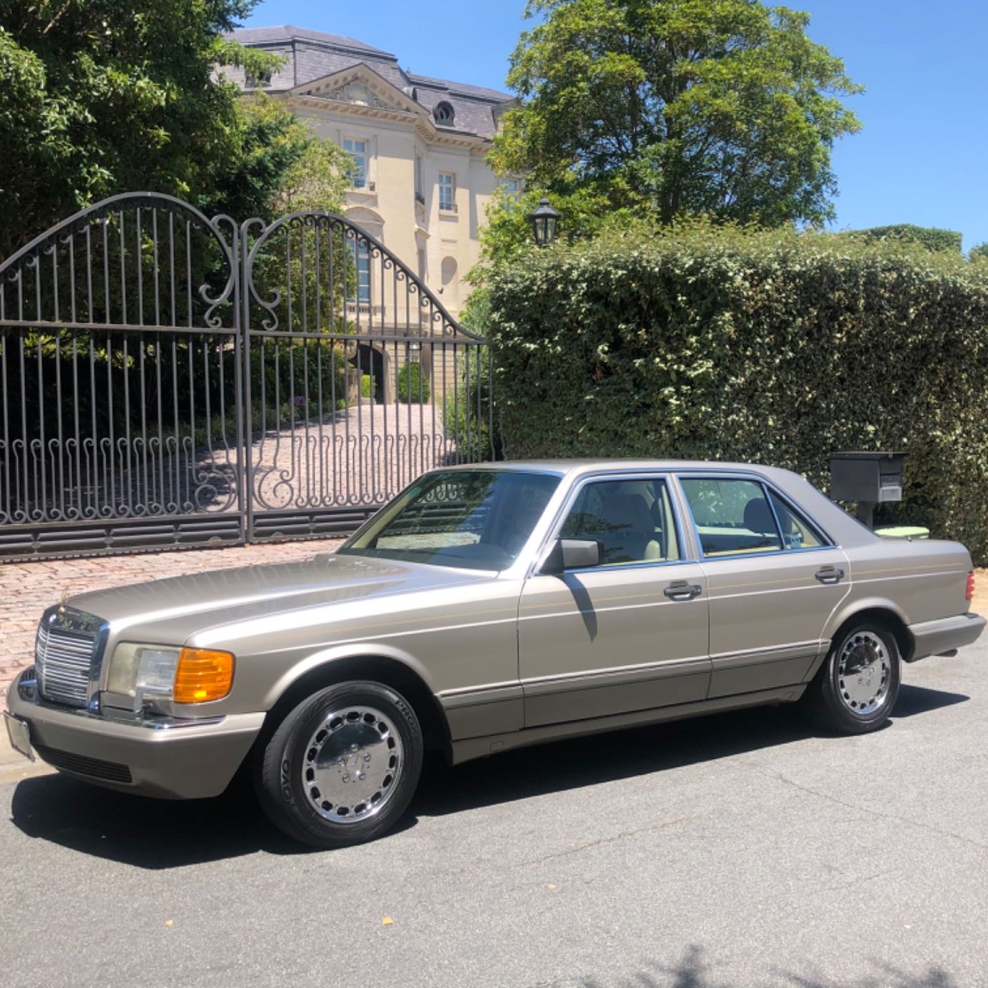 Profile of Lou Piccinini