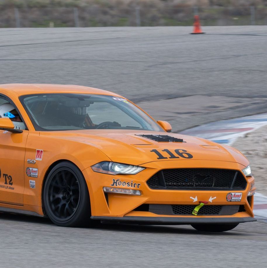 Profile of Bill Cardoso