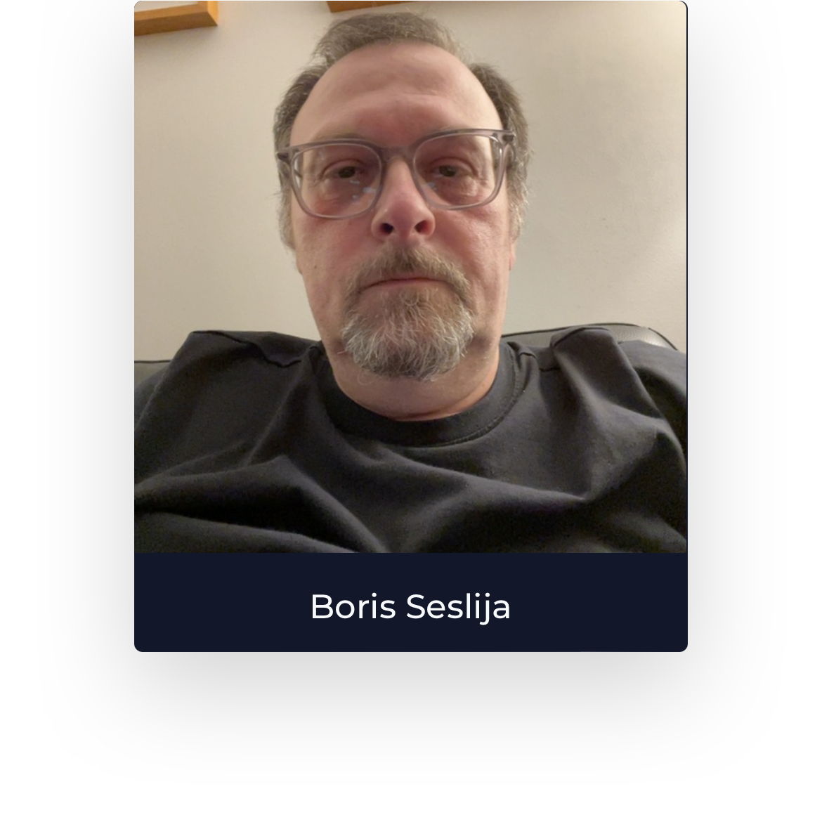 Profile of Boris Seslija