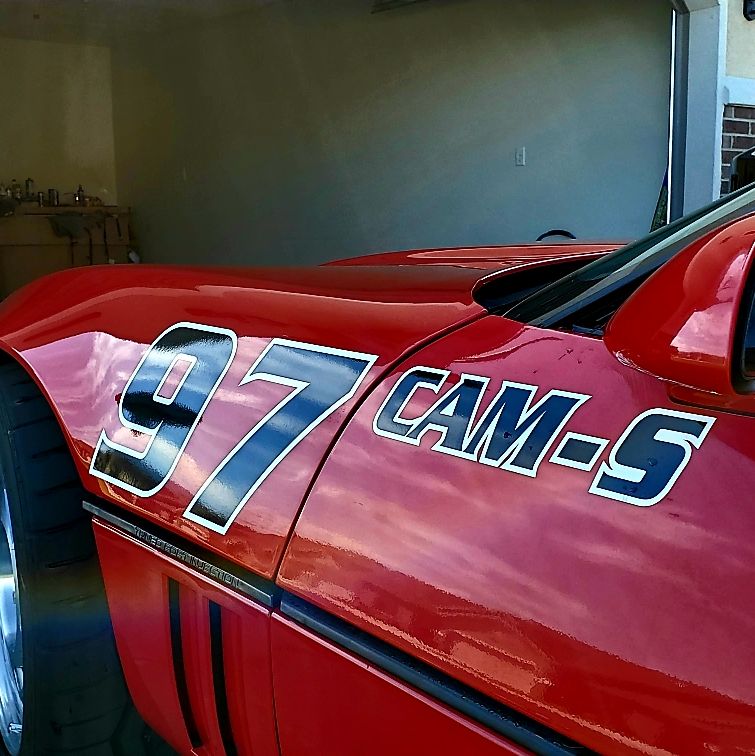 Profile of Josh Buchanan