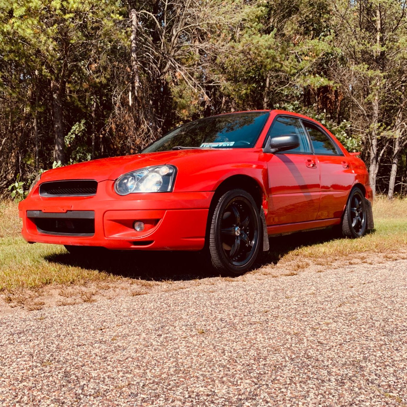 Profile of Max Nelson