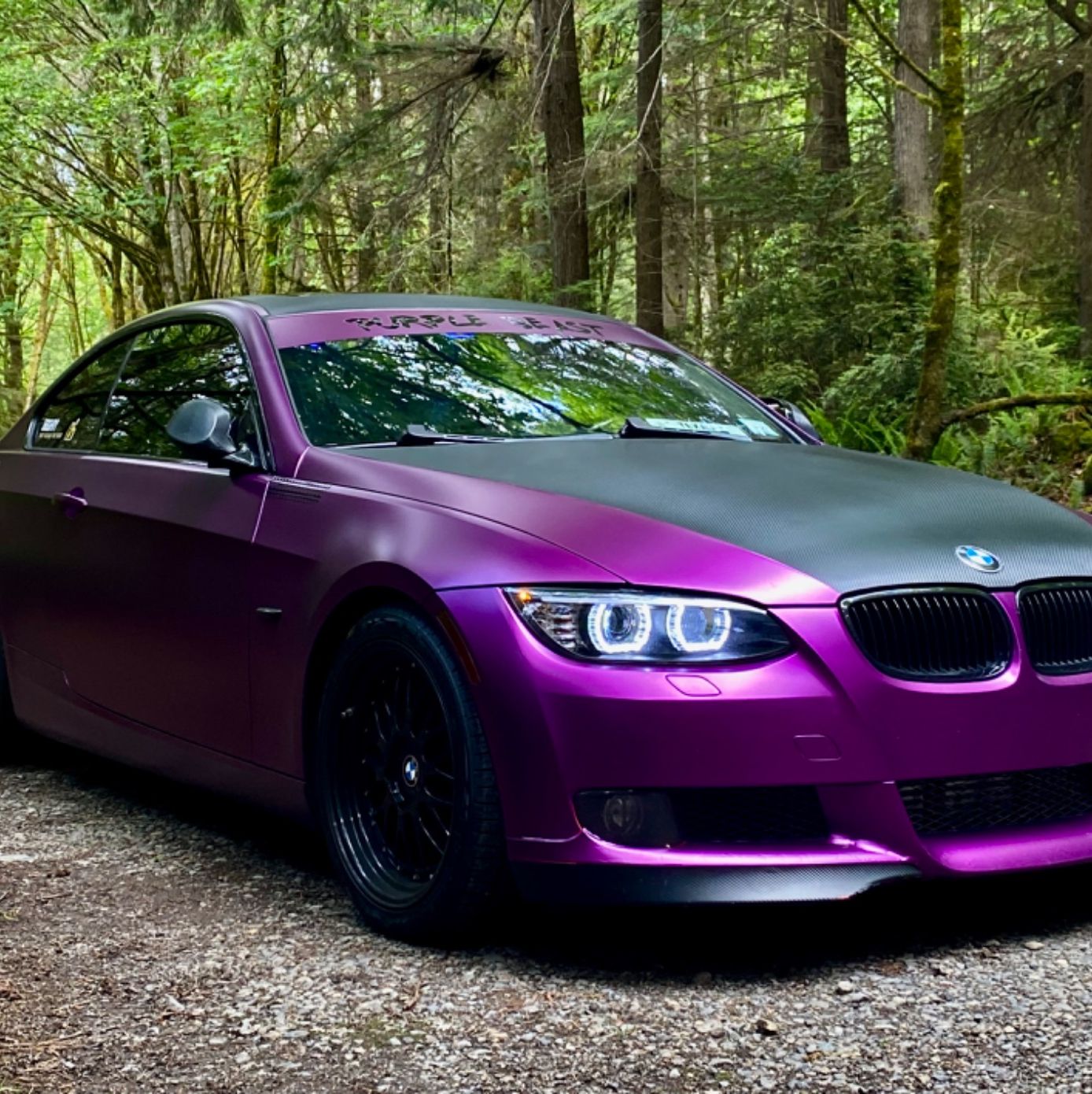 Profile of Elijah Hollingshed