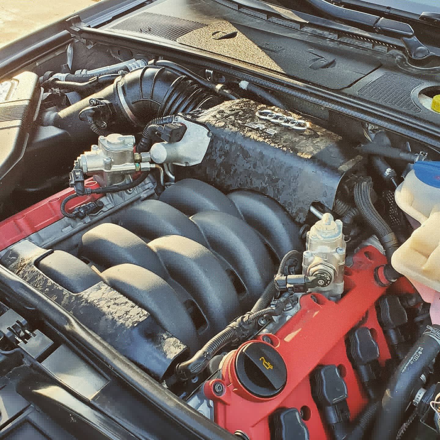 Profile of Riley Folkman