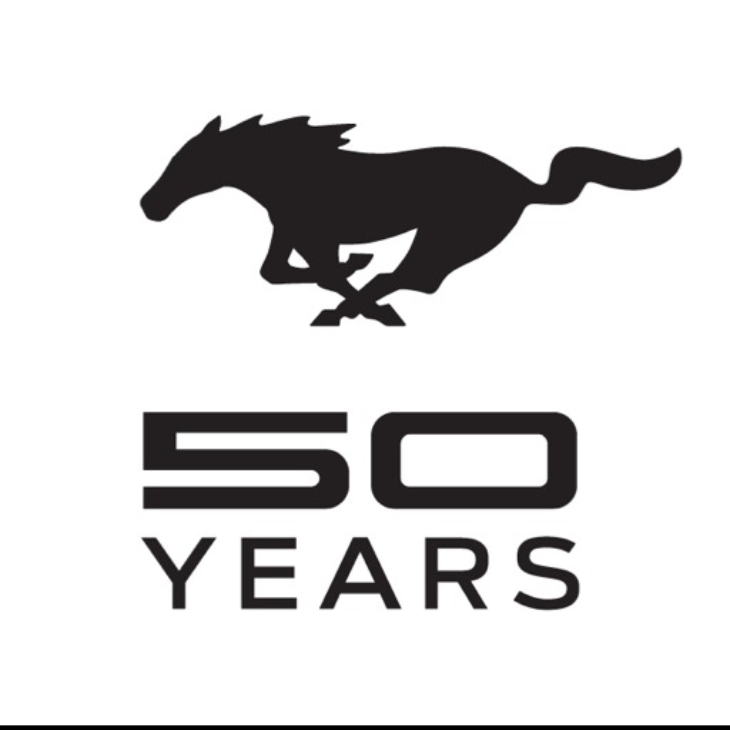 Profile of Cory Bowling