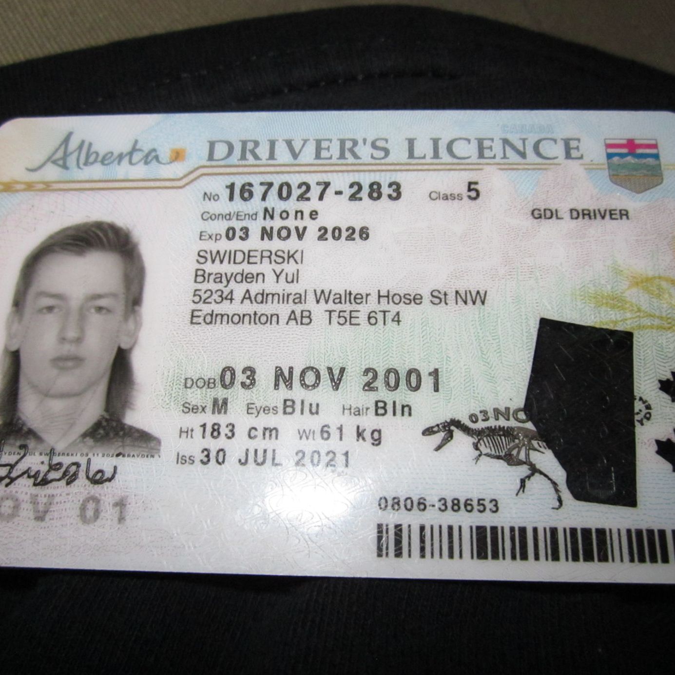 Profile of Brayden Swiderski