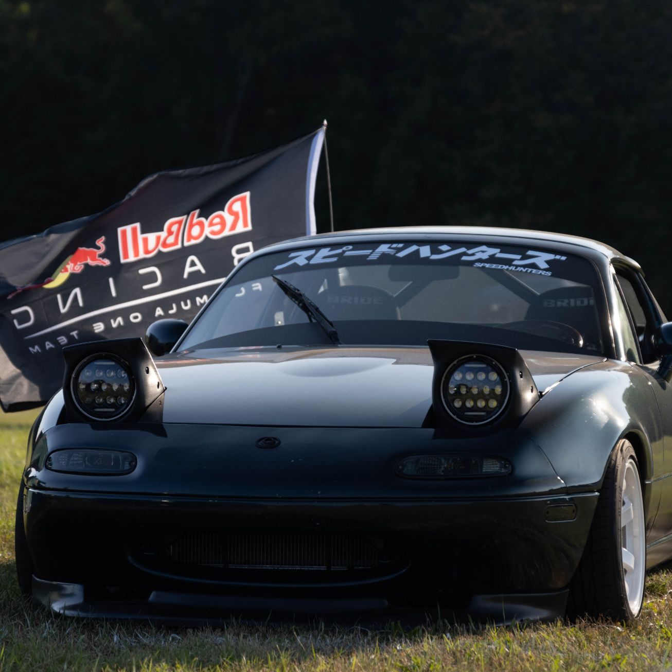 Profile of Maxwell Szeles