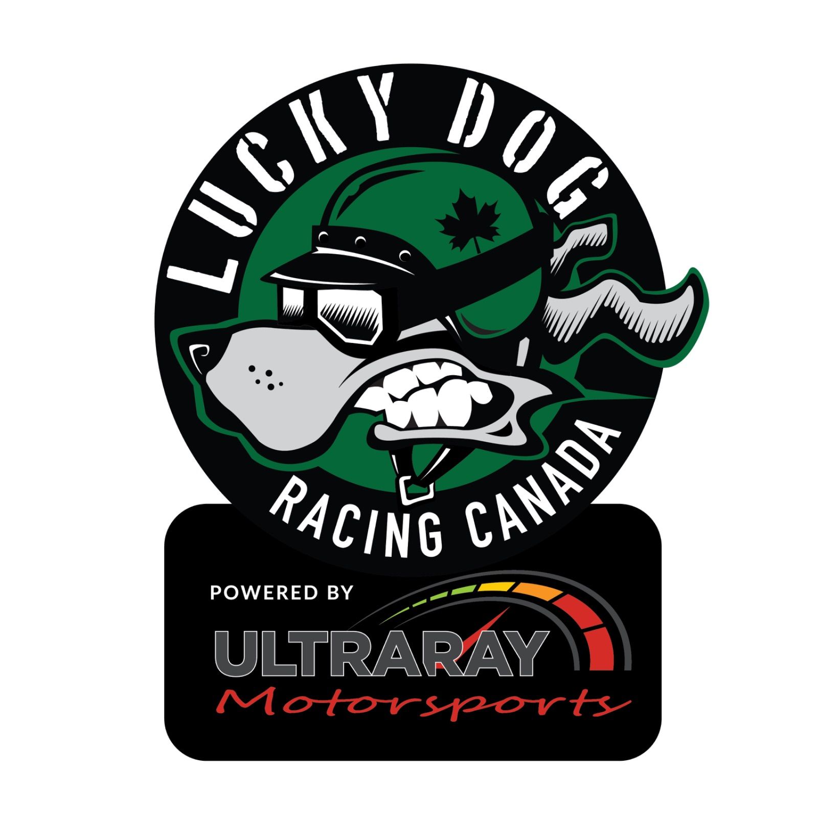 Profile of Chuck Carvalho