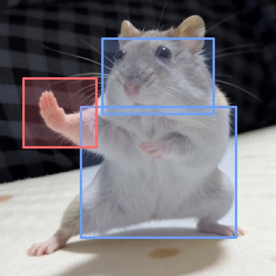 Profile of Gaurav Polo