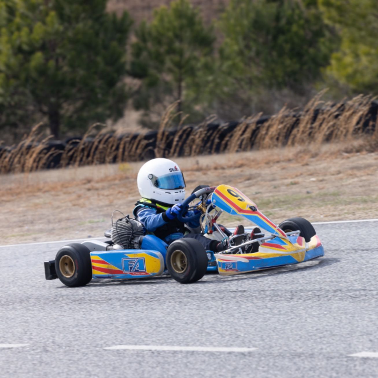 Profile of Agustin Puerta