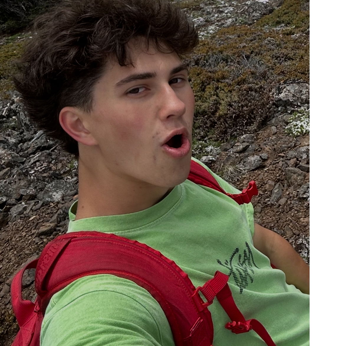 Profile of Dillon Shields