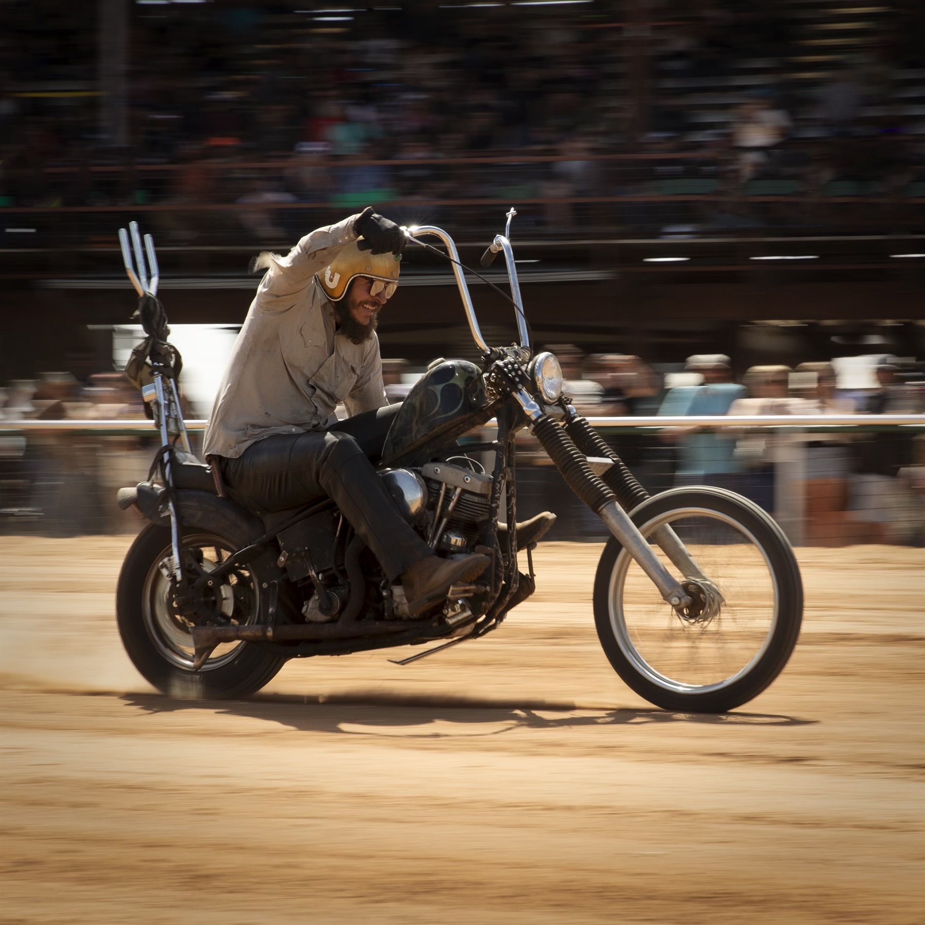 Profile of Danger Dan