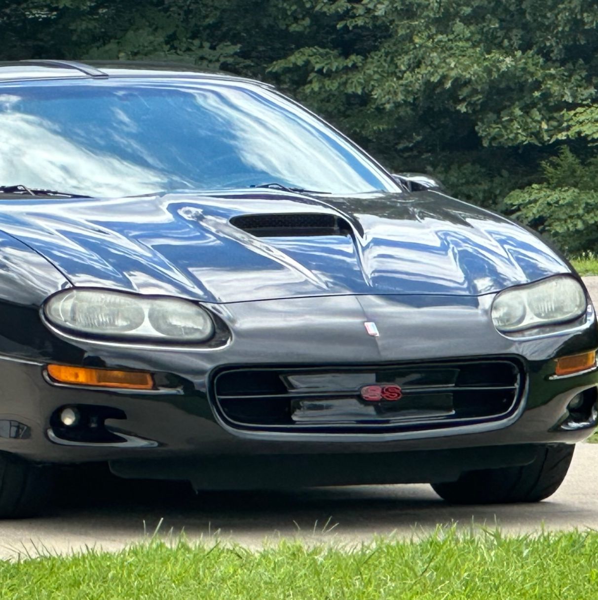 Profile of Kelli Schultz