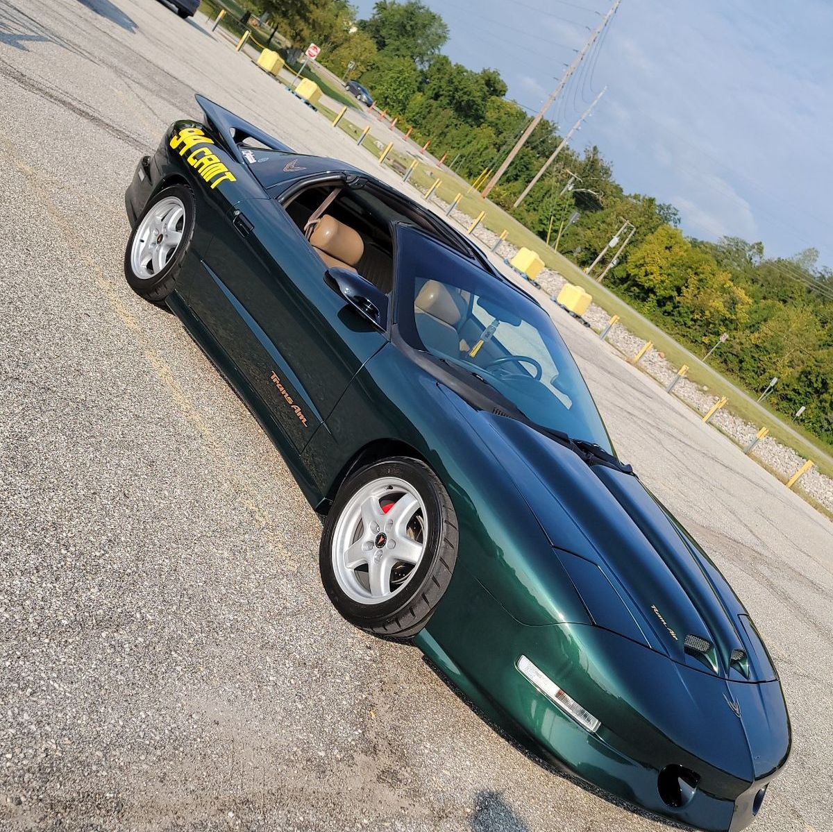 Profile of Dominic Stefl