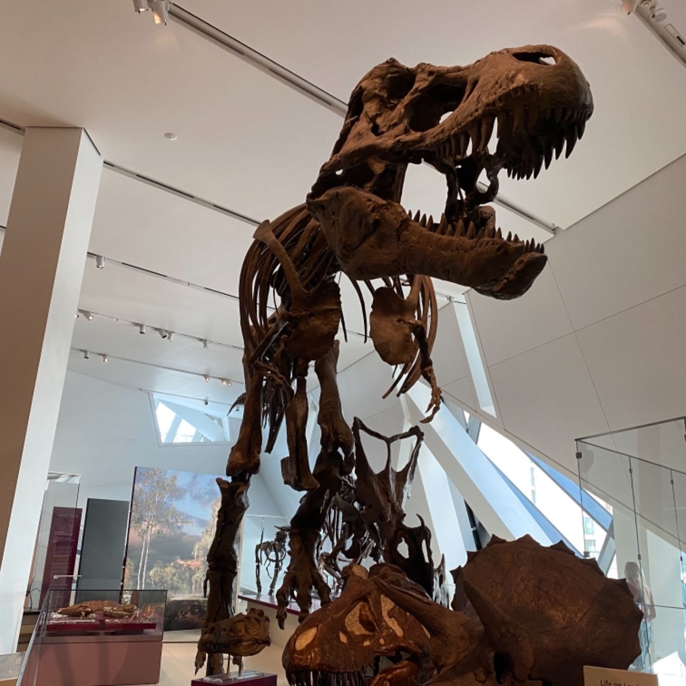 Profile of Matthew De Groot