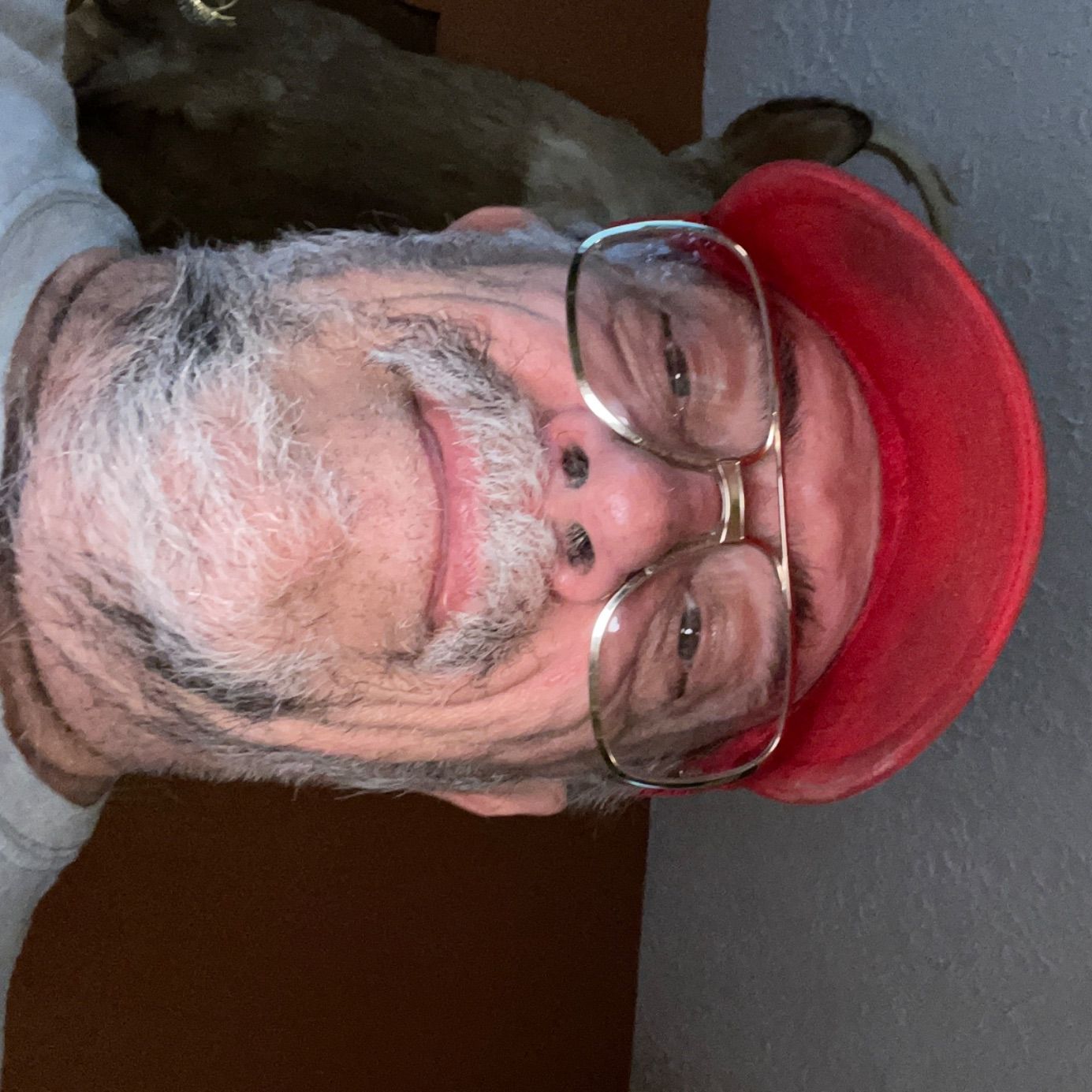 Profile of Tom Pavelko