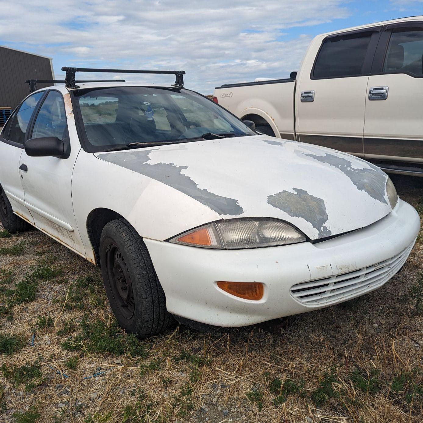 Profile of Brynen Neigel