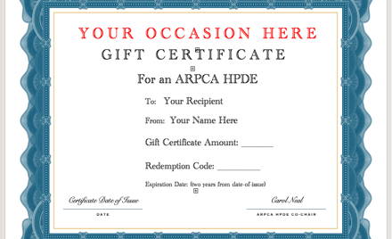 Gift Certificate for ARPCA HPDE events