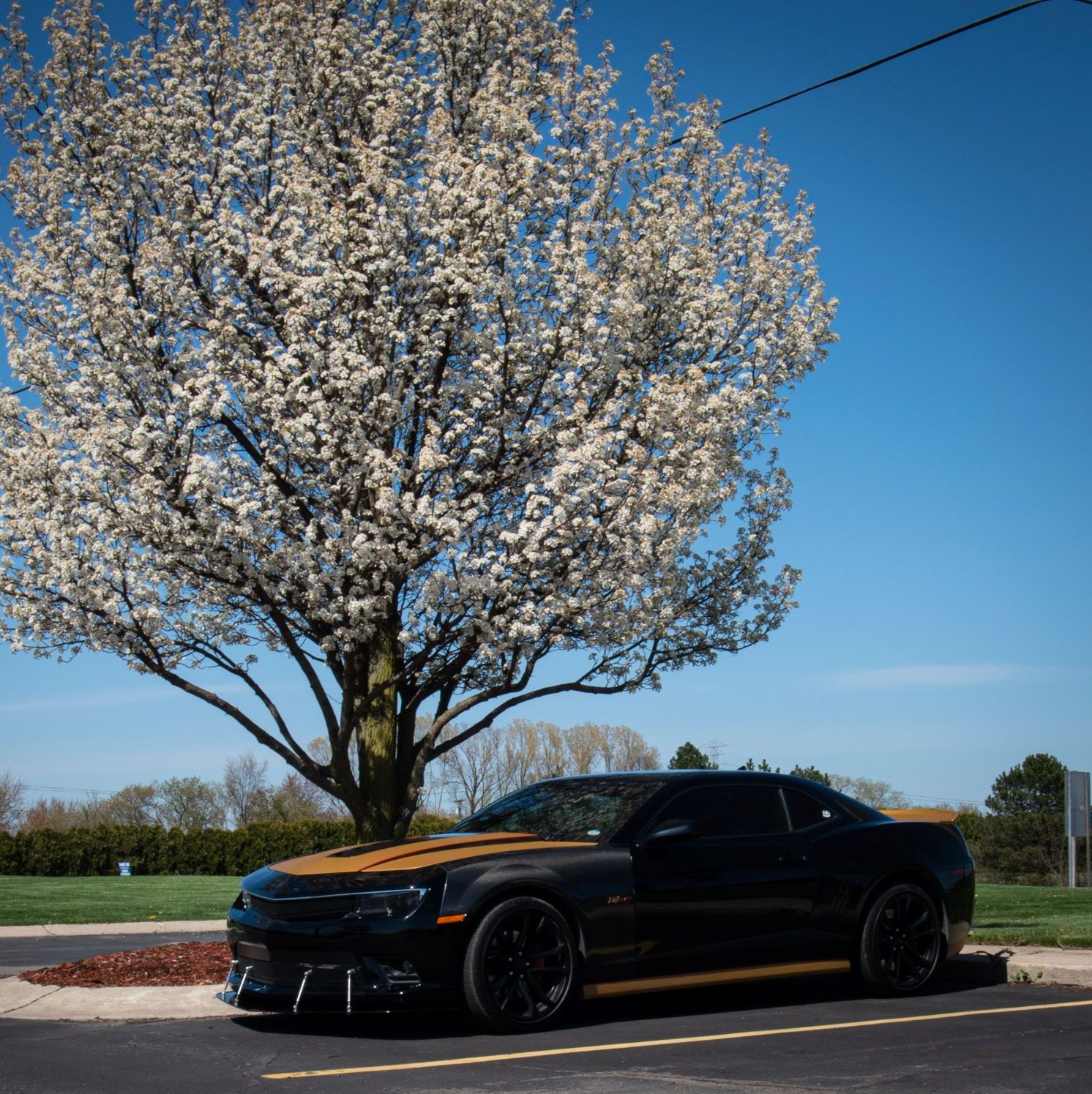 Profile of Kyle Donato