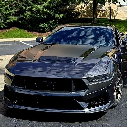 Profile of Claudia Cody