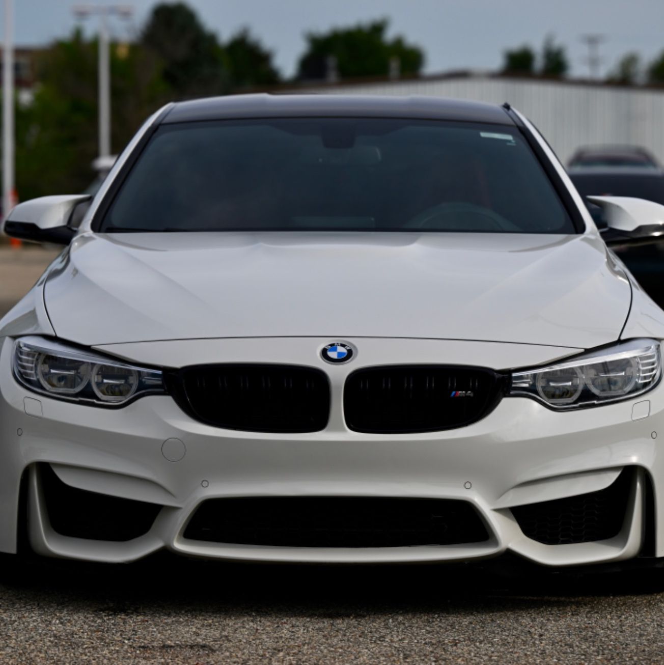 Profile of Braden Schettler