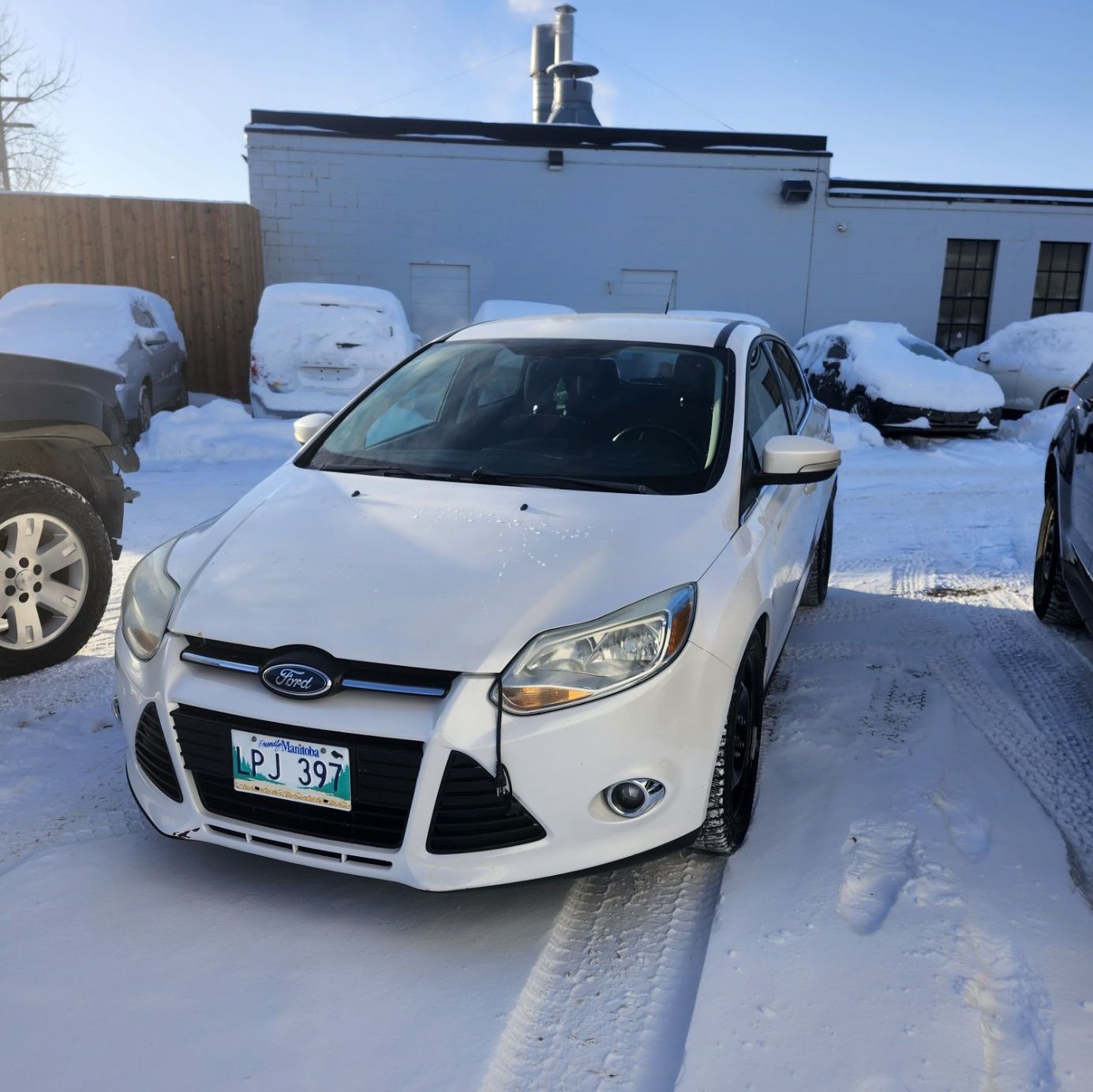 Profile of Ayden Roy