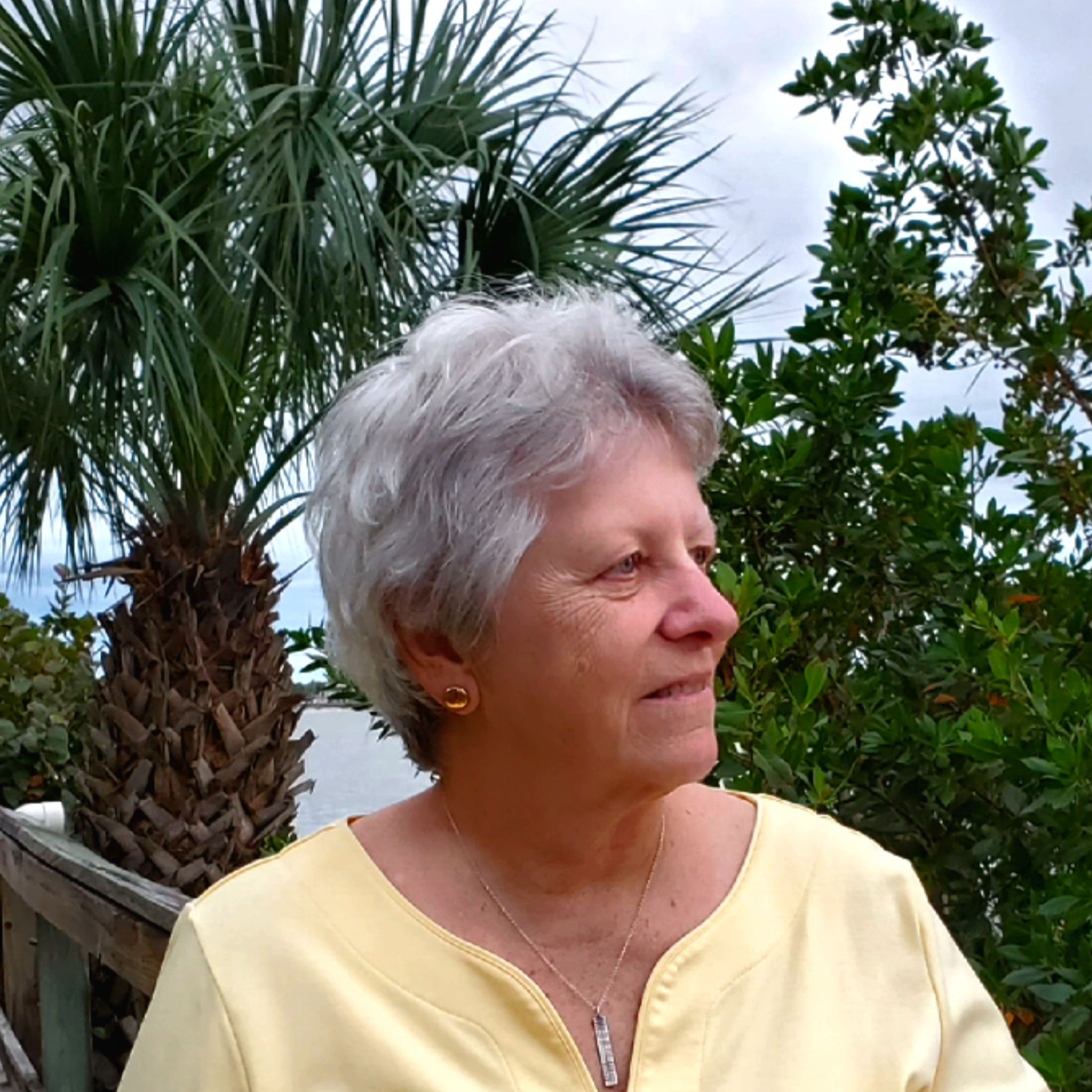 Profile of Dian Dingle