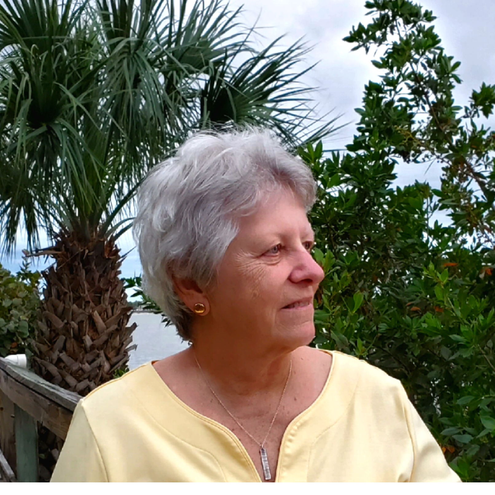 Profile of Dian Dingle