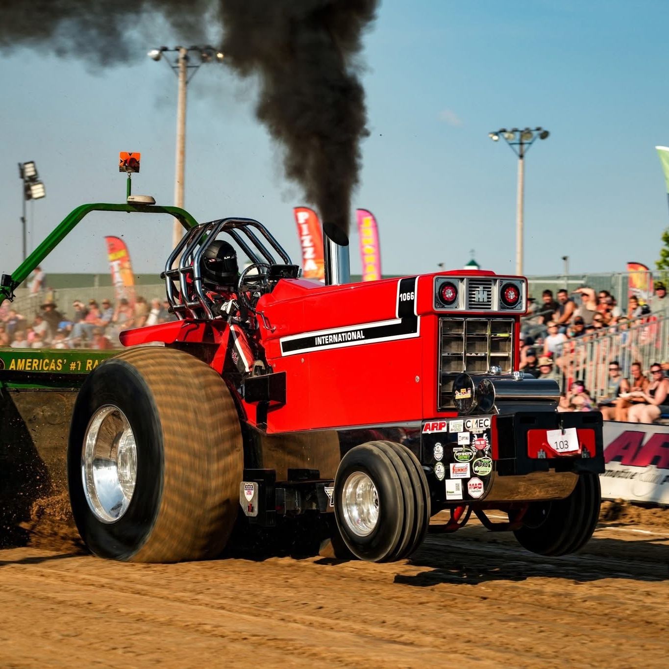 Profile of Justin Smith