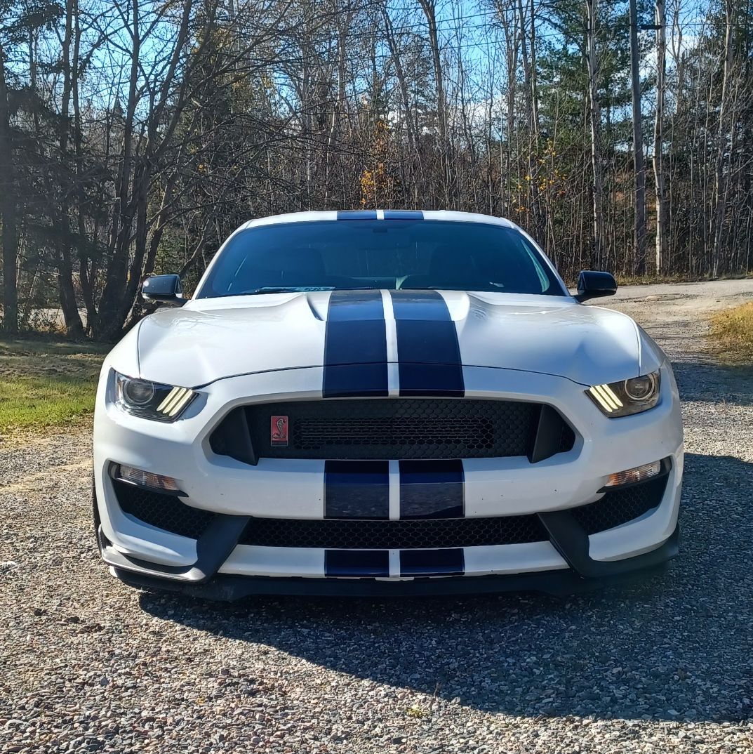 Profile of Mark Riley