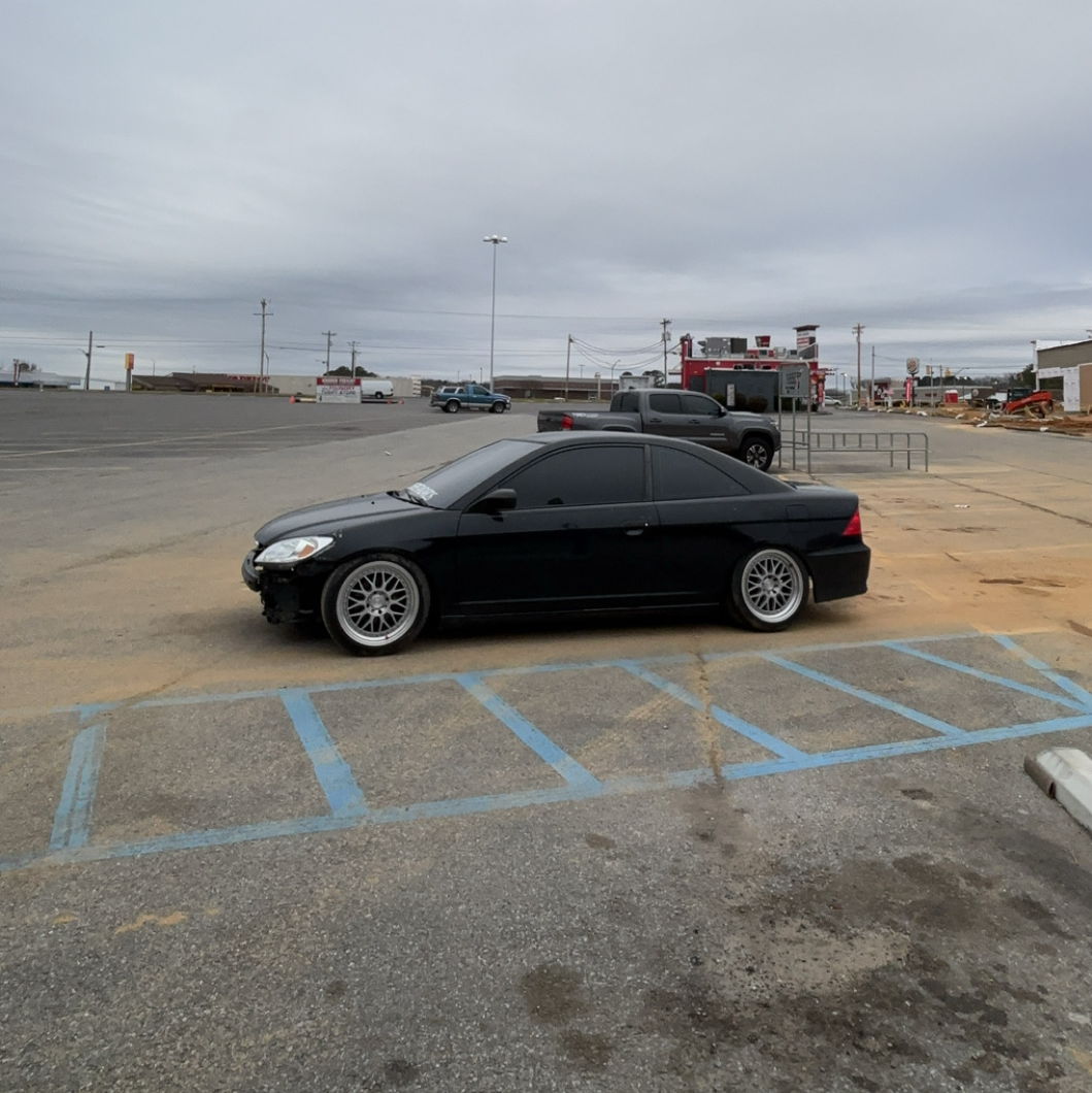 Profile of Julie Williams