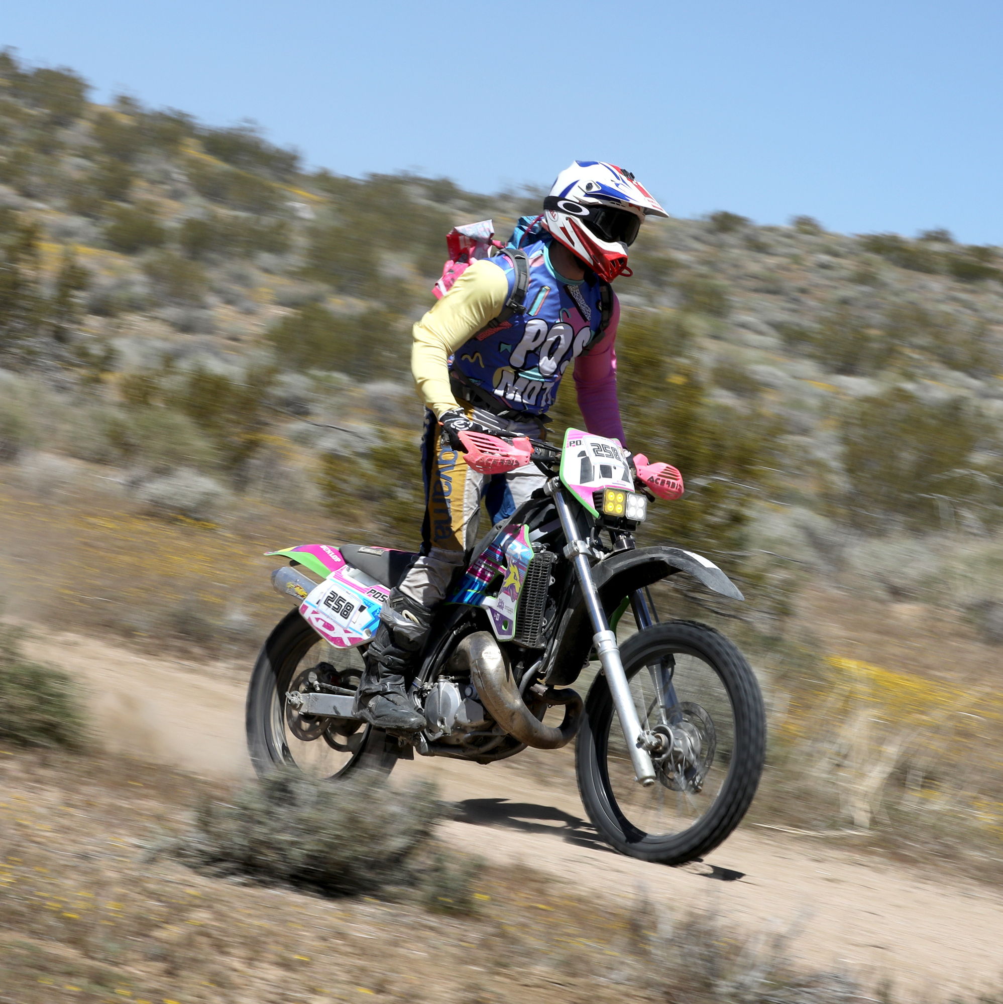 Profile of Dj Snyder