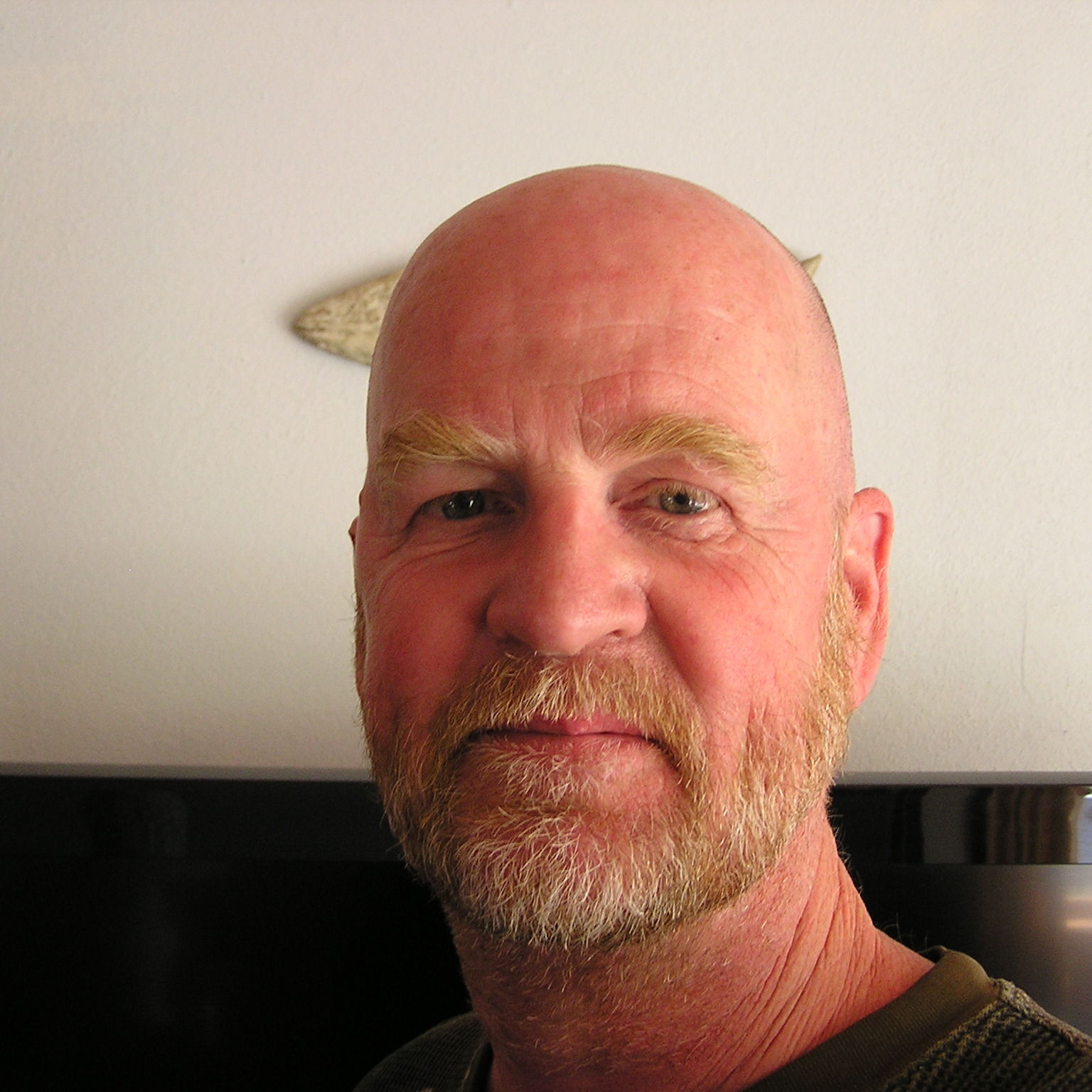 Profile of Steven Martin