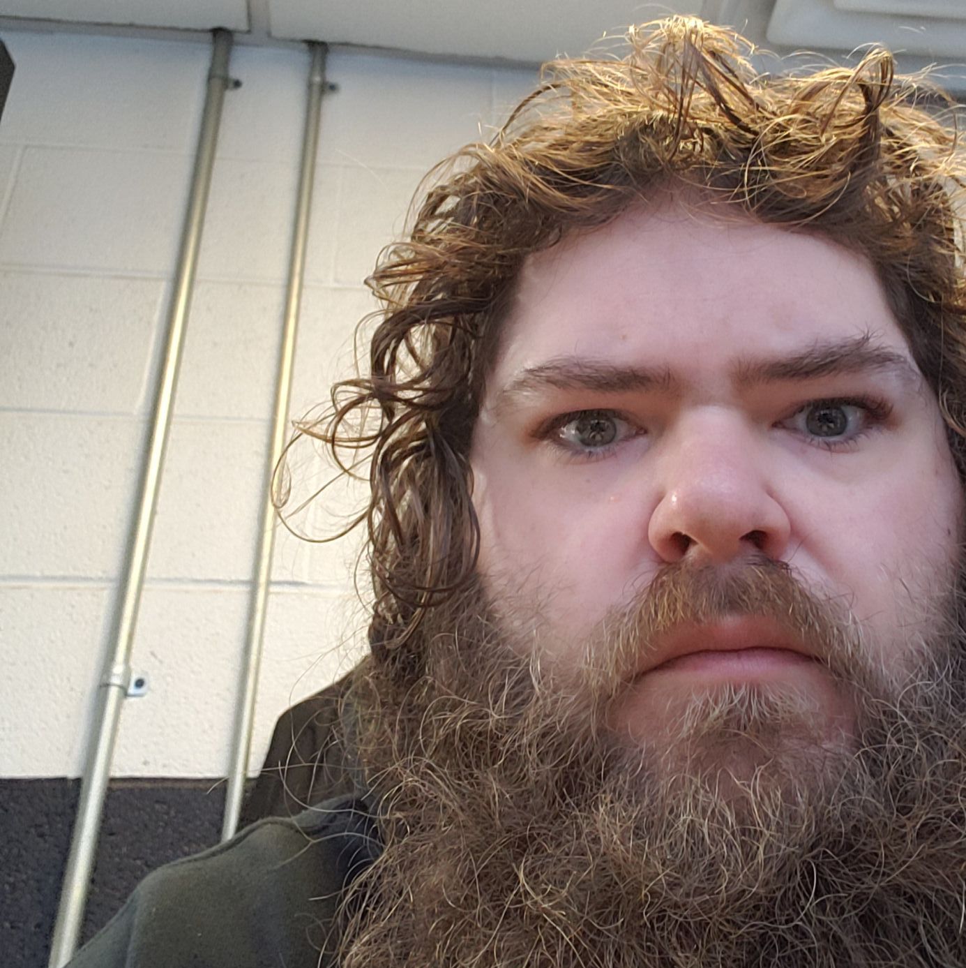 Profile of Andrew Rex