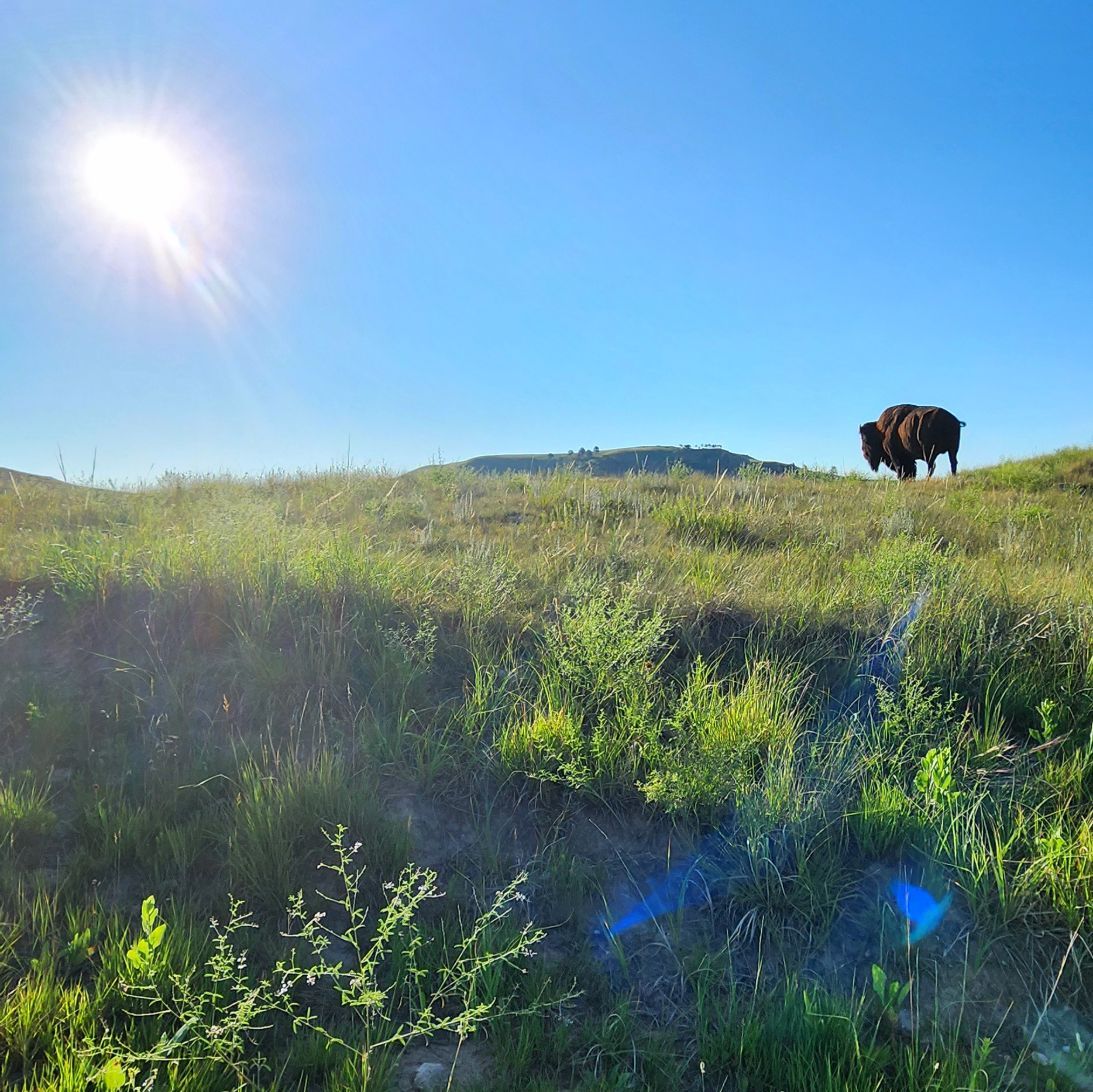 Profile of Ronald Sribniak