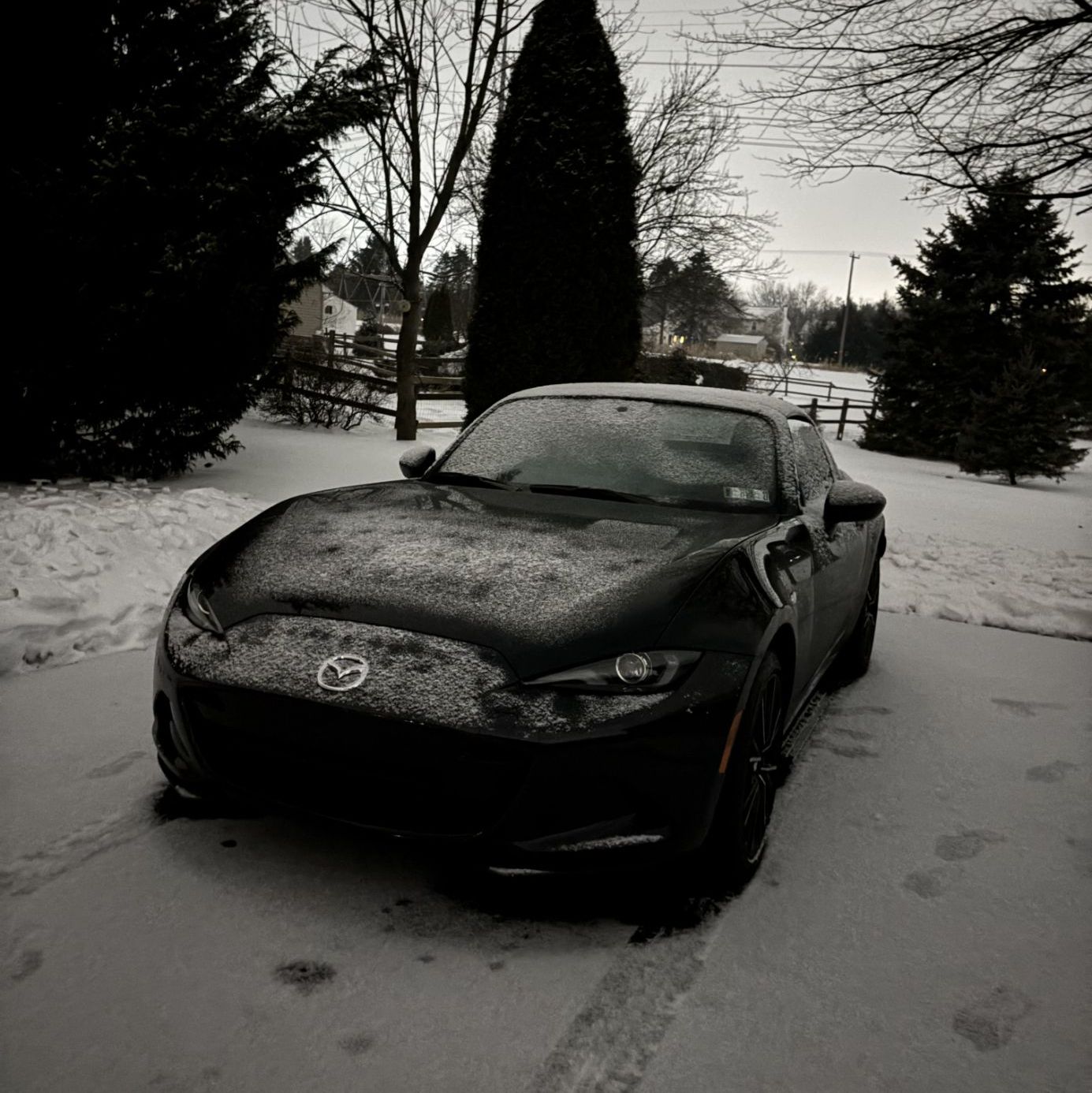 Profile of Zachary Wenning