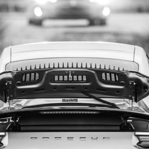 Profile of Raj Sangha