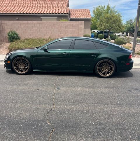 Profile of Nic Kelly