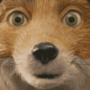 Profile of Grant Porter