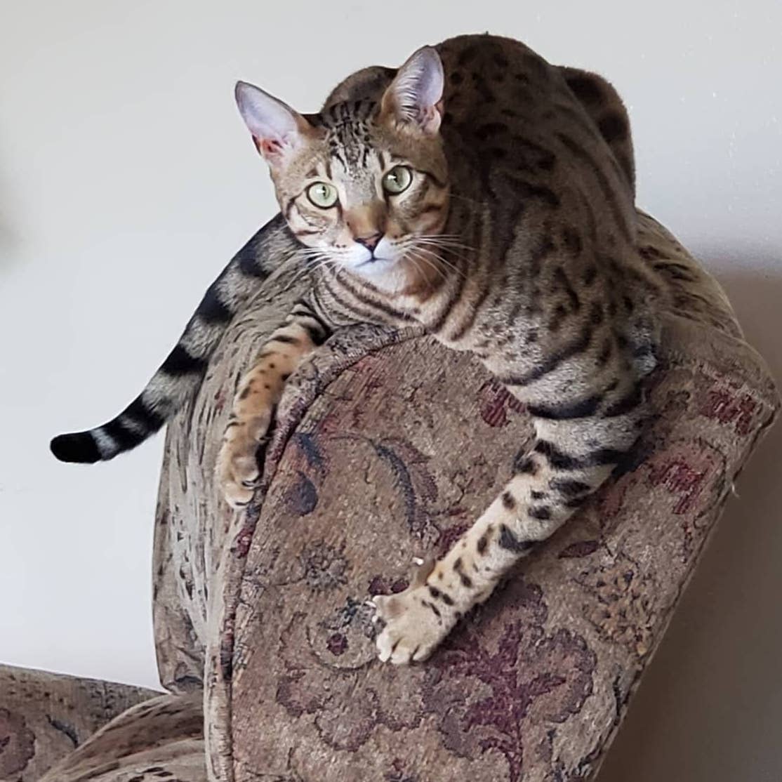 Profile of Jason Cook