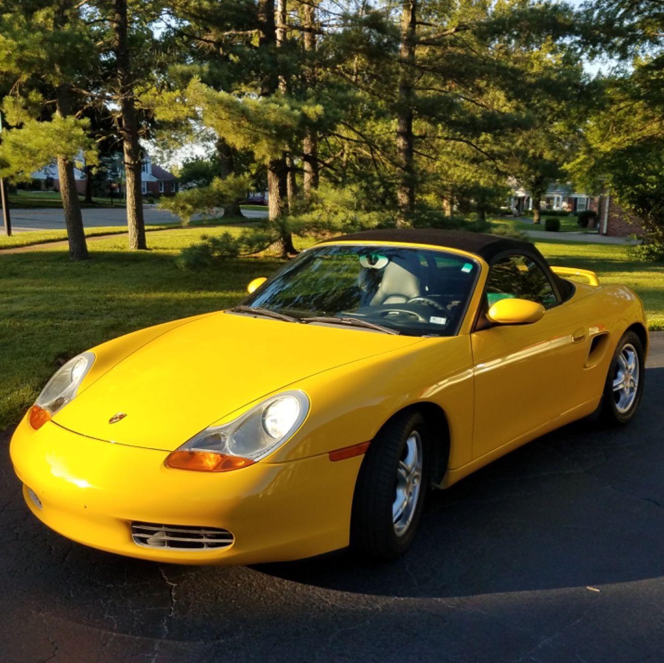 Profile of Jeff Ponte