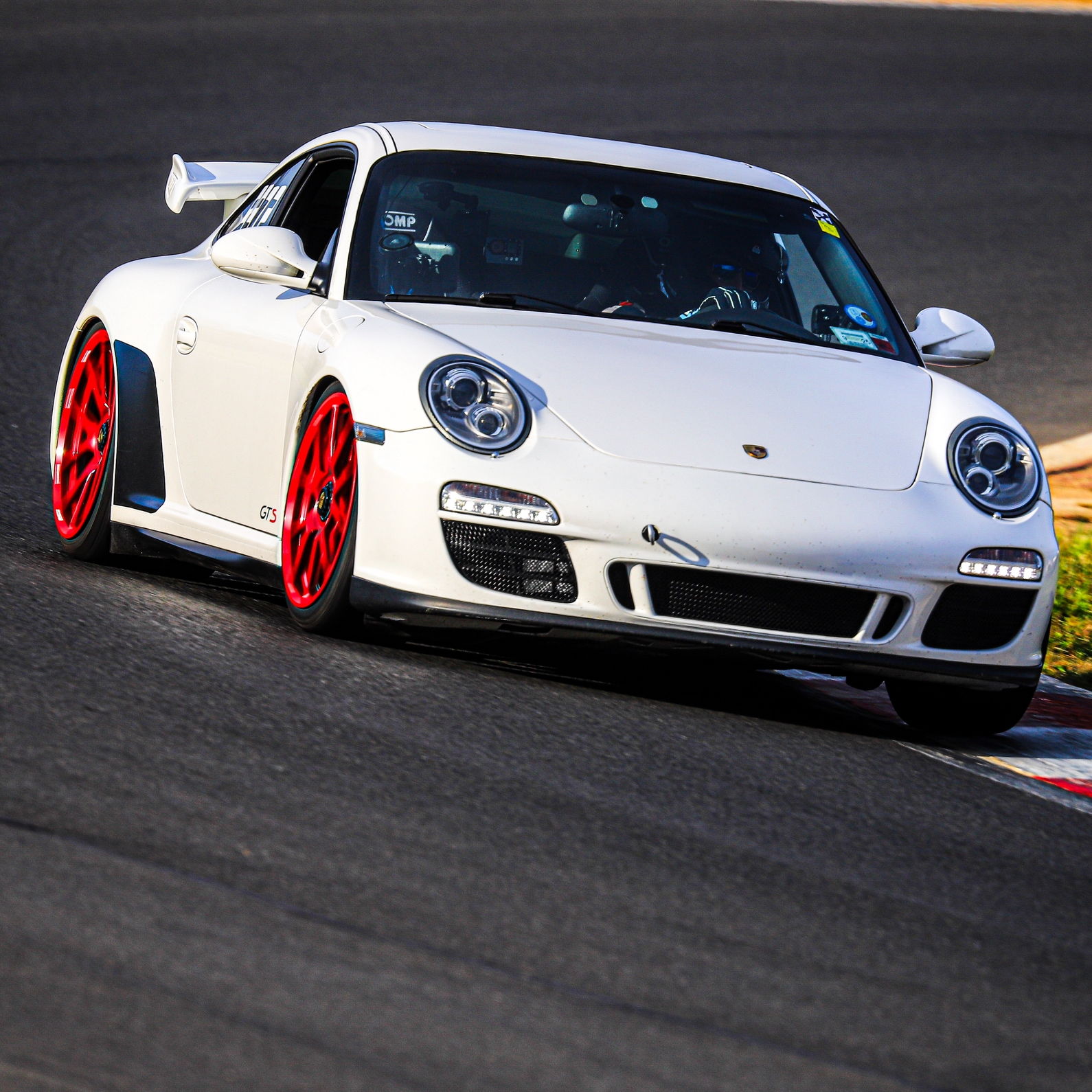 Profile of Brandon Tasso