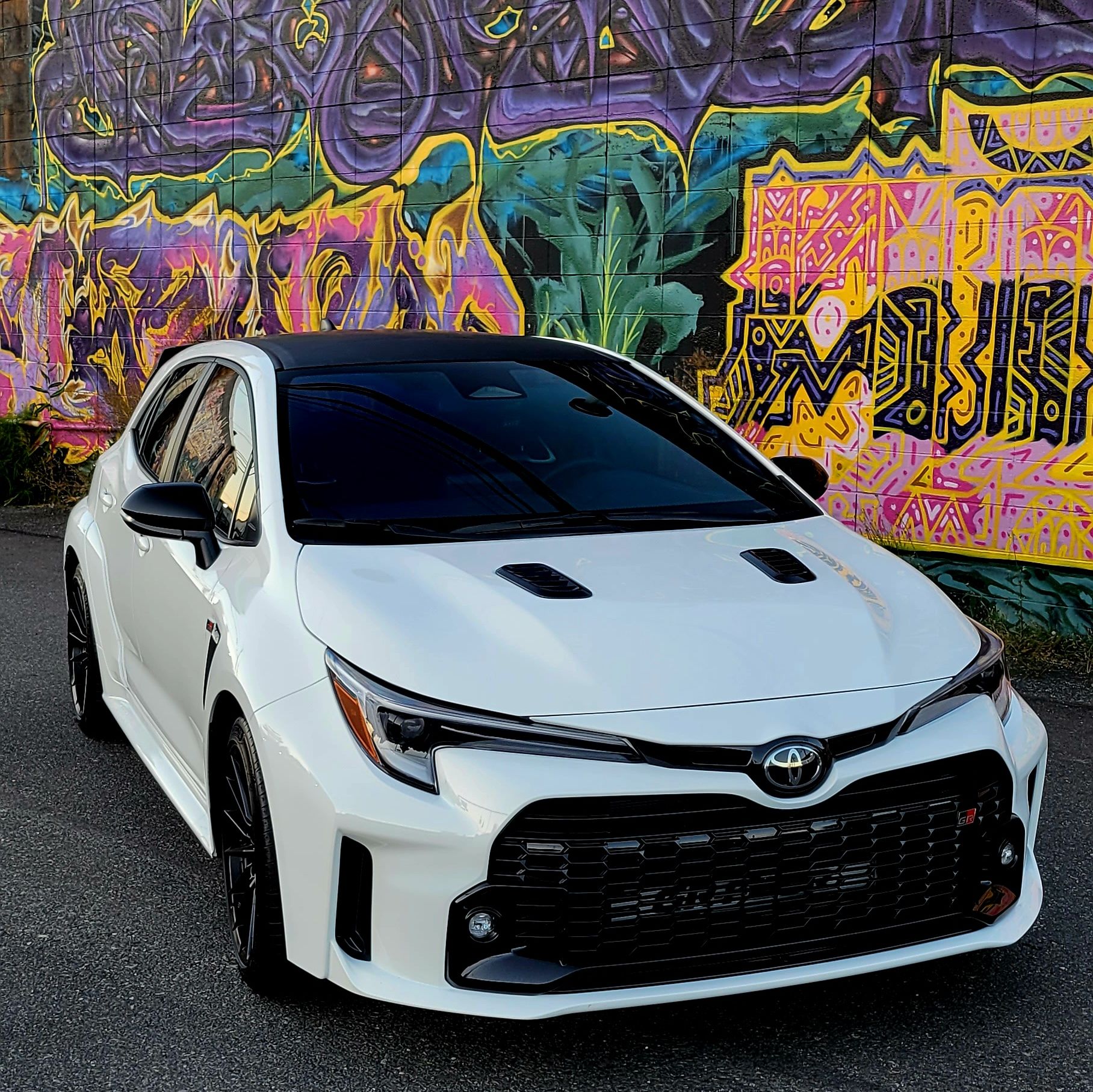 Profile of Darci Bailey