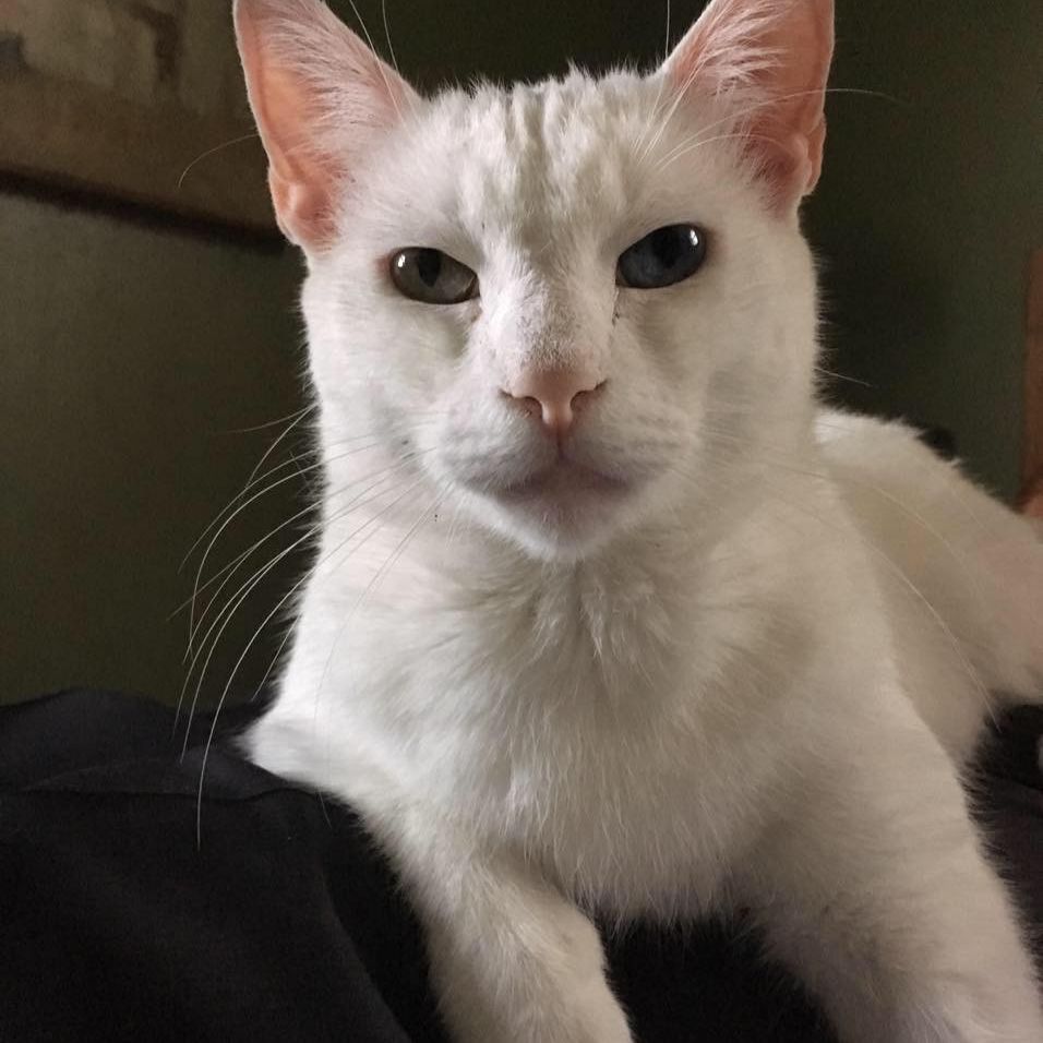 Profile of Robyn Pritchard