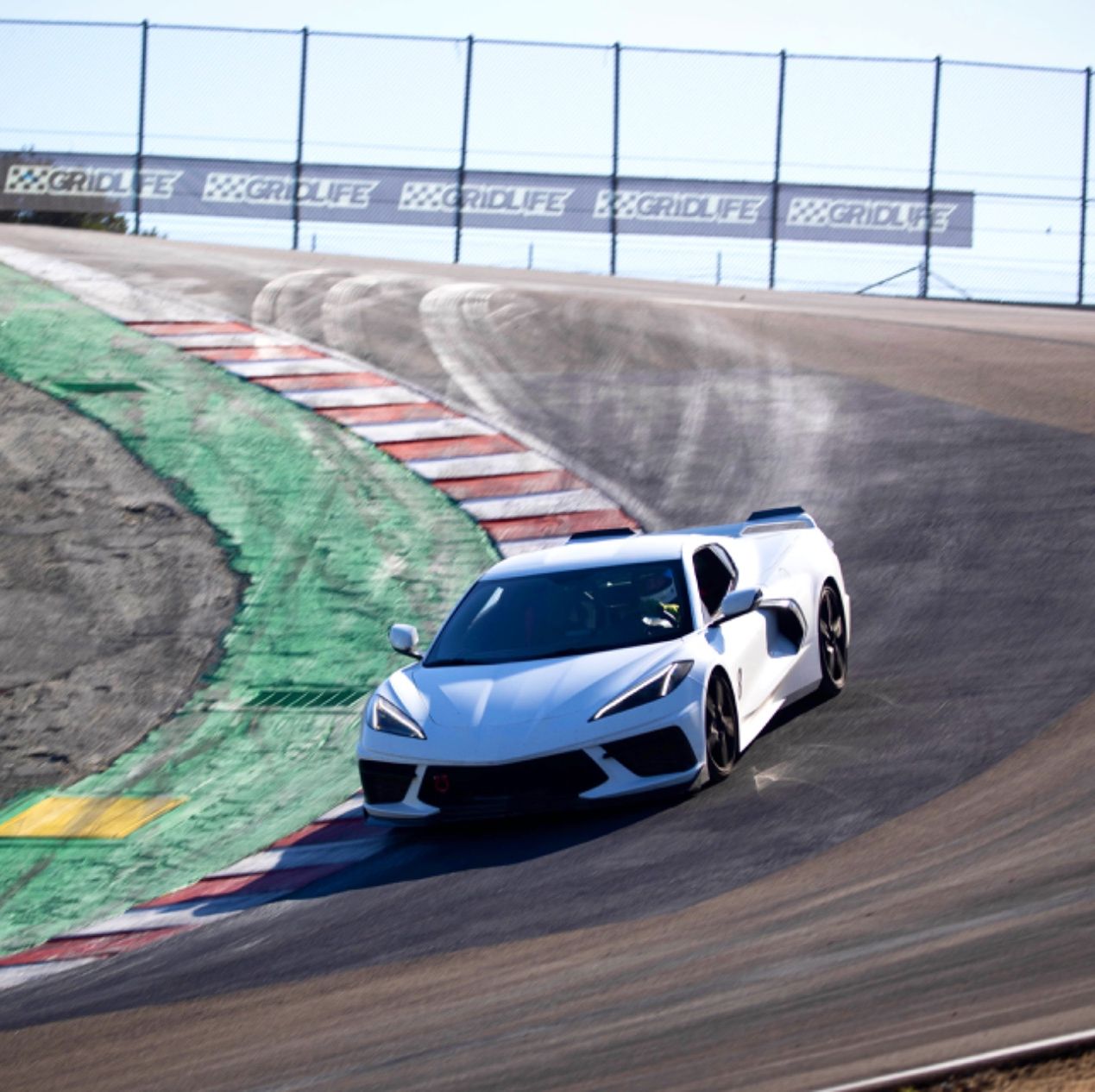 Profile of Codi Terrill