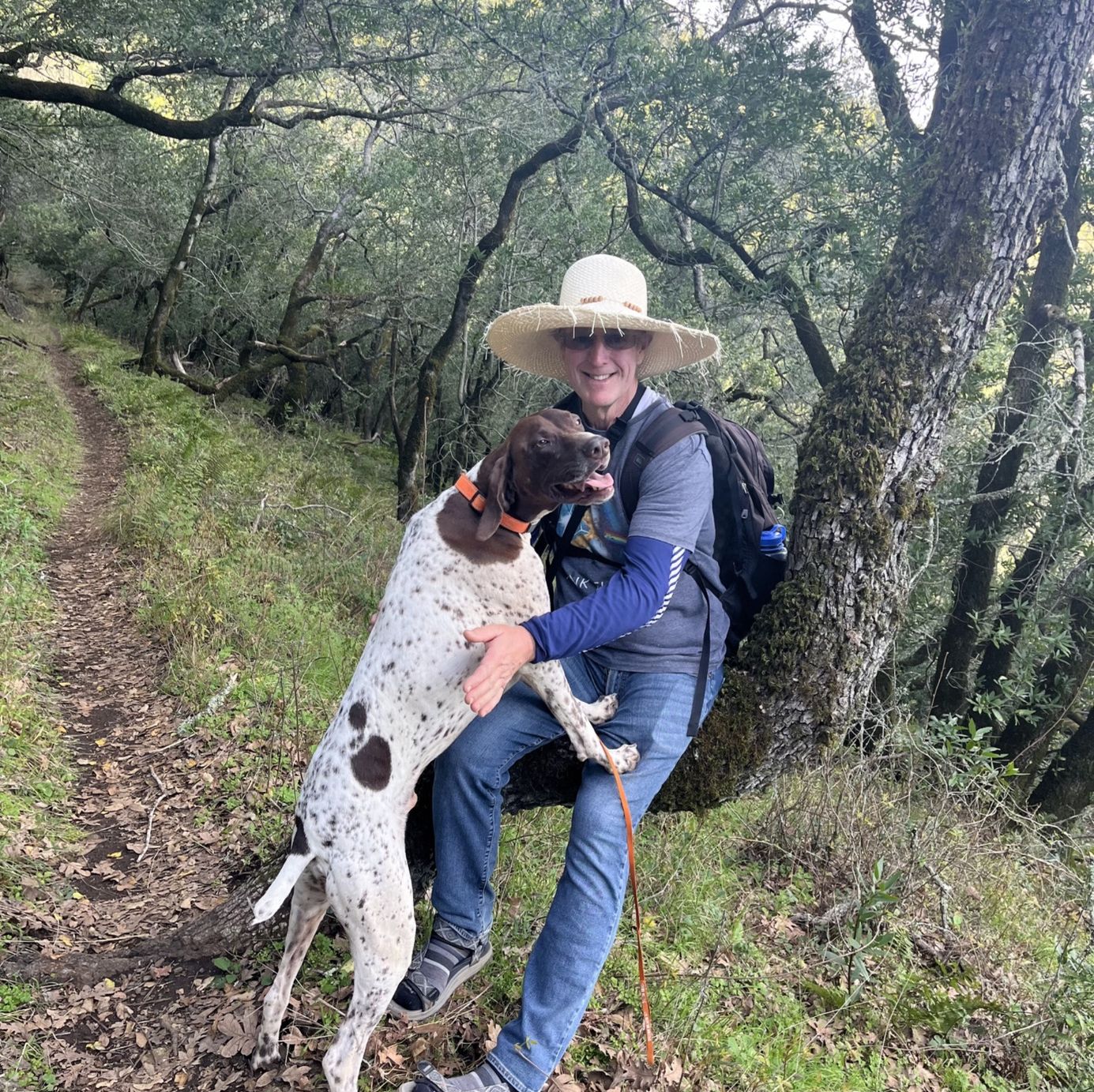 Profile of Chris O’Connor