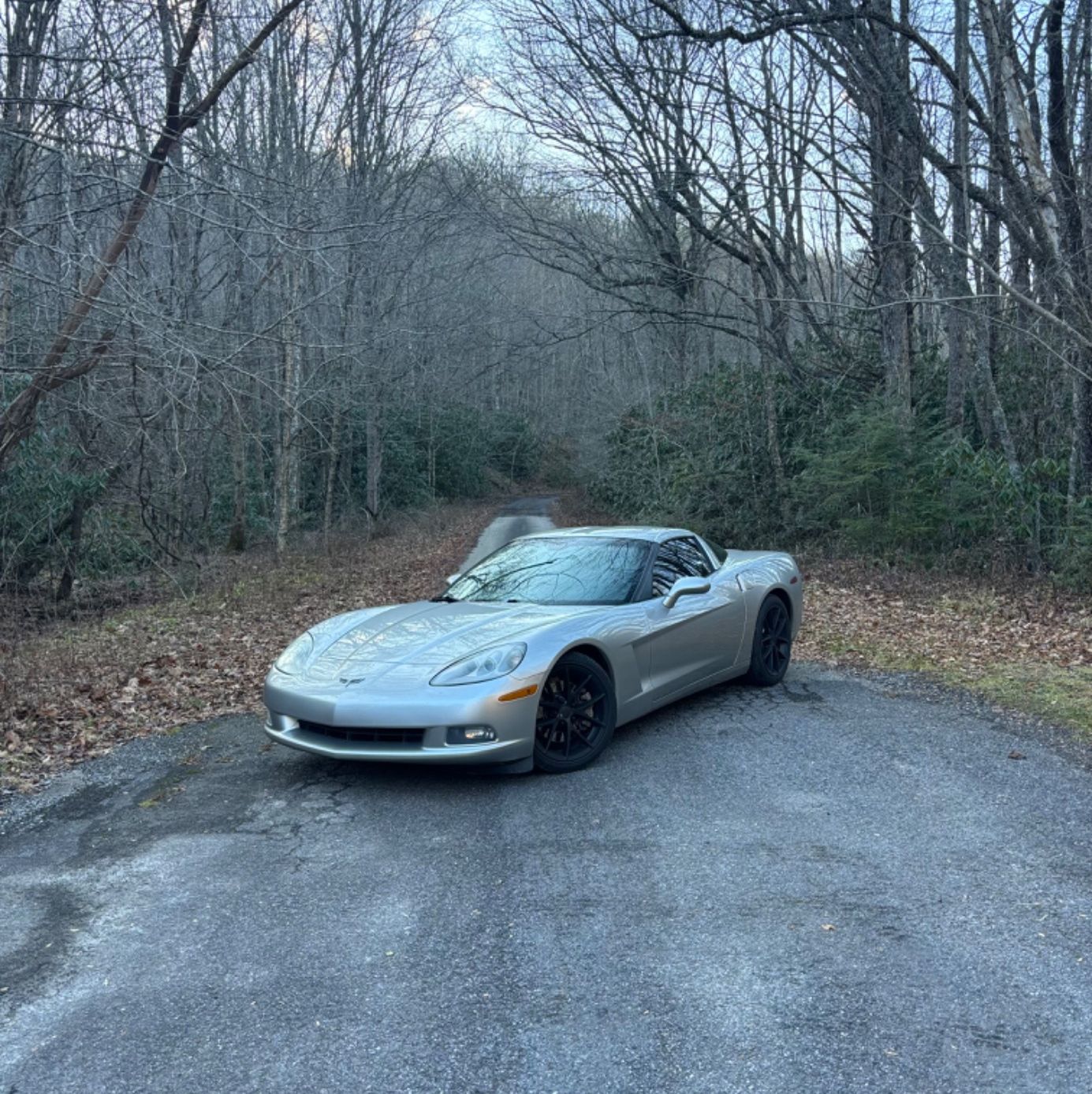 Profile of Bryce Champion